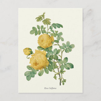 gele rozenbotanische druk briefkaart