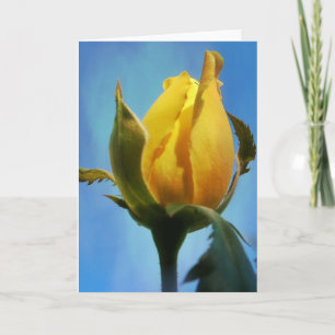 Gele rozenlampjes met Kaart 3:22-23