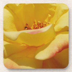 Gele rozenOnderzetters Drankjes Onderzetter