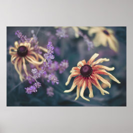 Gele rudbeckia en Paarse lavender Poster