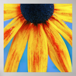 Gele Rudbeckia Flower Macro Abstract Poster