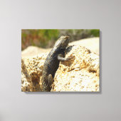 Gele ruggengraat bij Joshua Tree Canvas Afdruk (Voorkant)