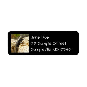 Gele ruggengraat bij Joshua Tree Etiket