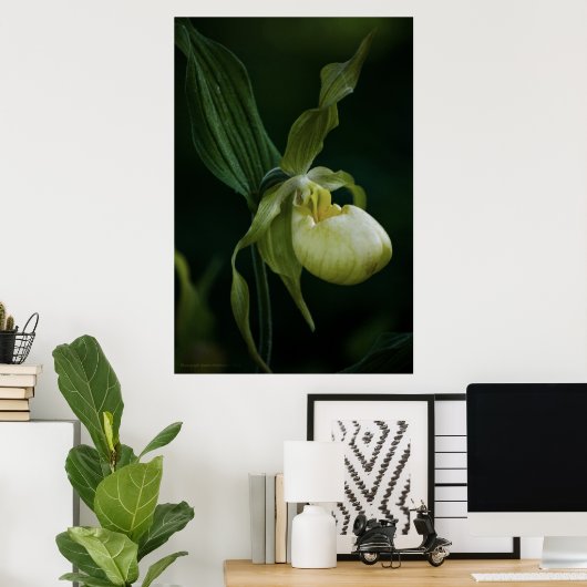 Gele Slipper Print (Thuiskantoor)