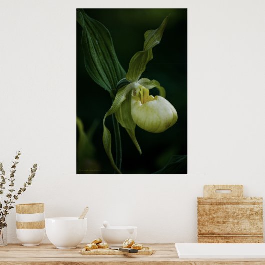 Gele Slipper Print (Keuken)