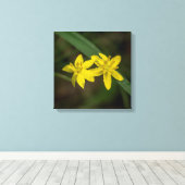 Gele Star Grass Wildflower Canvas Afdruk (Insitu (Houten vloer))