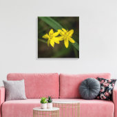 Gele Star Grass Wildflower Canvas Afdruk (Insitu (Woonkamer))