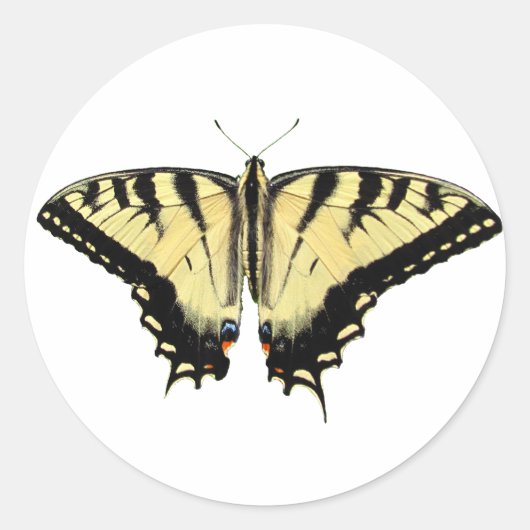 Gele Swallowtail ~ sticker (Voorkant)