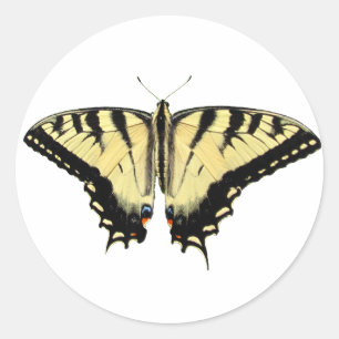 Gele Swallowtail ~ sticker