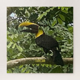 Gele-Throated Toucan Costa Rica Design Puzzle Legpuzzel