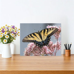 Gele Tijger Swallowtail Vlinder op roze bloem Foto Afdruk