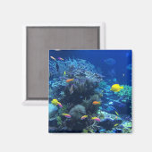 Gele tropische vissen magneet (Voorkant / Achterkant)