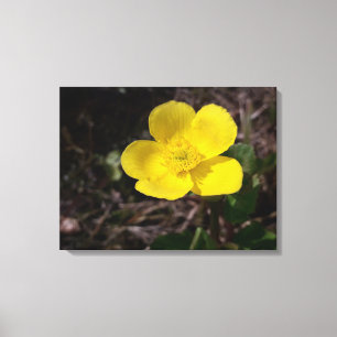 Gele tuinbloem canvas afdruk