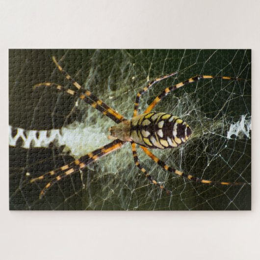 Gele tuinspin op het web in het donker legpuzzel (Horizontaal)