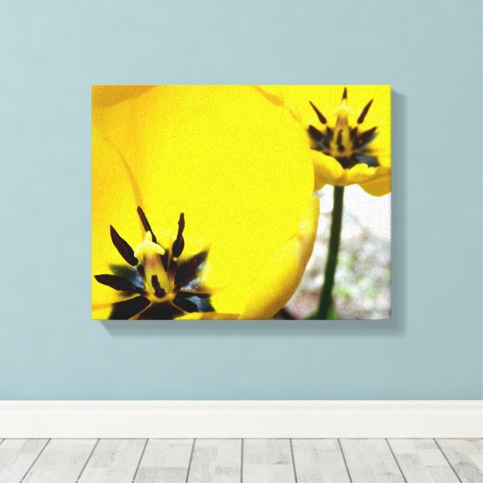 Gele Tulip Canvas afdrukken (Insitu (Houten vloer))