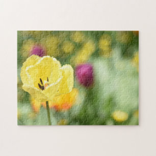 Gele Tulip Flowers Natuur Fotografie Tuin Legpuzzel