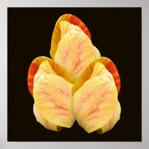 Gele Tulp Bloemblaadjes Boeket Poster