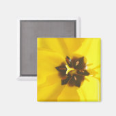 Gele Tulp blootgestelde magneet (Voorkant / Achterkant)