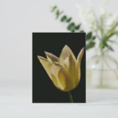 Gele Tulp Briefkaart (Staand voorkant)