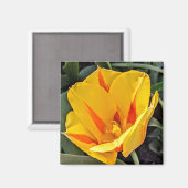 Gele tulp in Bloom Magnet Magneet (Voorkant / Achterkant)