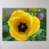 Gele Tulp Macro Afdrukken Poster (Voorkant)