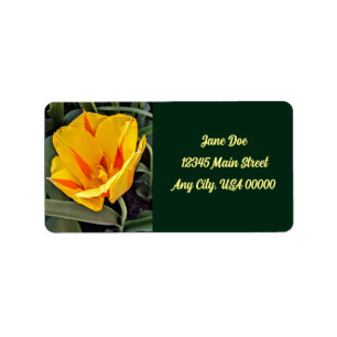 Gele tulp met groene achtergrond etiket