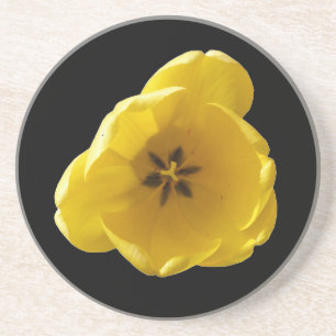 Gele Tulp Onderzetters