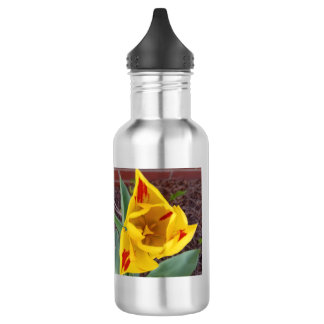 Gele Tulp waterfles
