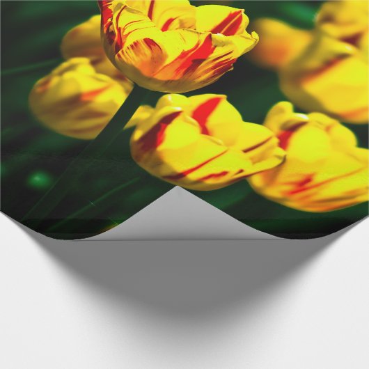 Gele tulpbloemen cadeaupapier (Hoek)