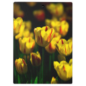 Gele tulpbloemen klembord (Achterkant)