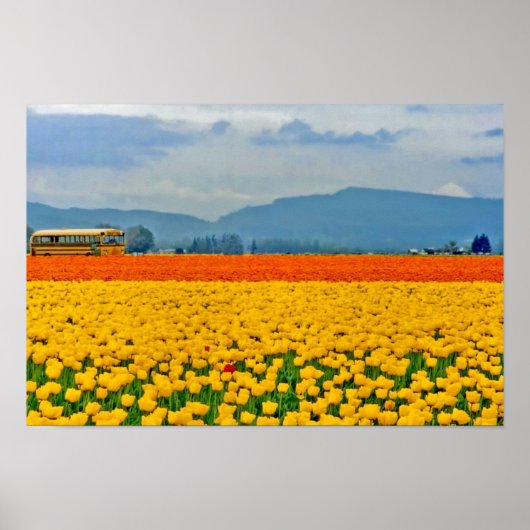 Gele tulpen en schoolbus poster (Voorkant)