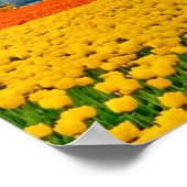 Gele tulpen en schoolbus poster (Hoek)