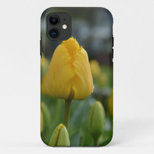Gele Tulpen in het veld iPhone 11 Hoesje