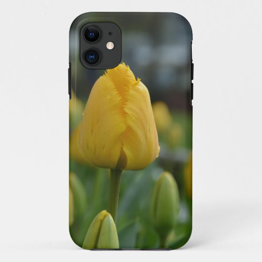 Gele Tulpen in het veld Case-Mate iPhone Case (Achterkant)