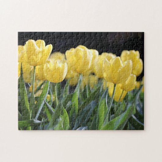 Gele tulpen legpuzzel (Horizontaal)