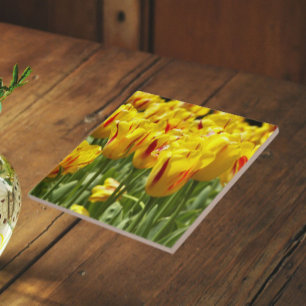 Gele tulpen met rode strepen bloemstuk tegeltje