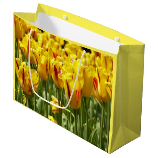 Gele tulpen met rode strepen groot cadeauzakje (Voorkant Gekanteld)