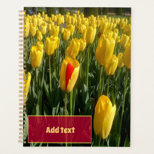 Gele tulpen planner (Voorkant)