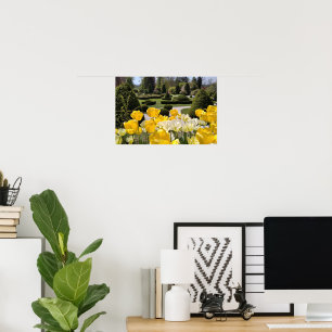 Gele tulpen van Arboretum Volcji Potok Slovenië Poster