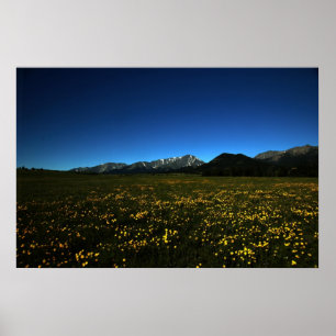 Gele velden poster