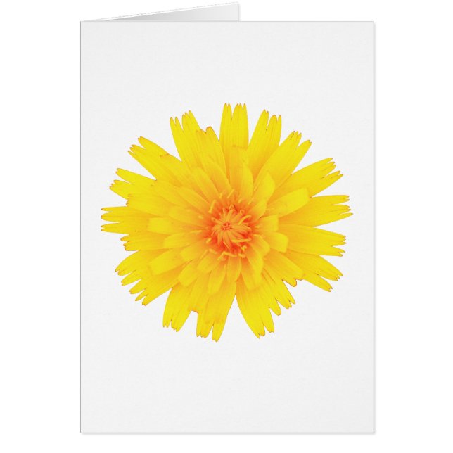 Gele ventiel (Voorkant)