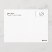 Gele ventiel briefkaart (Achterkant)