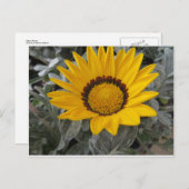 Gele ventiel briefkaart (Voorkant / Achterkant)