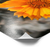 Gele ventilatorafdrukken foto afdruk (Hoek)