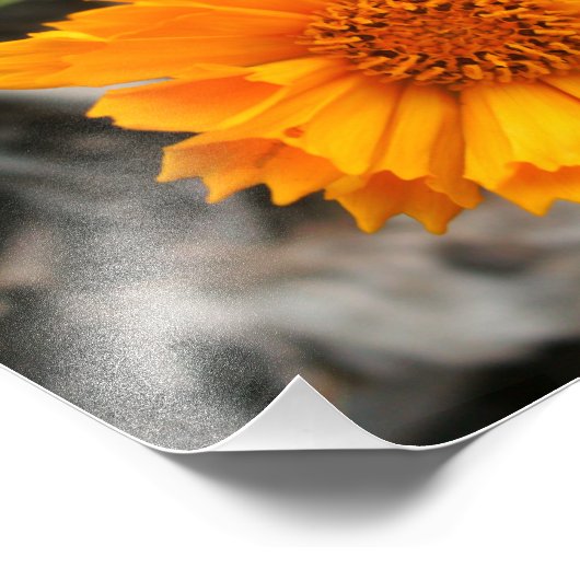 Gele ventilatorafdrukken foto afdruk (Hoek)