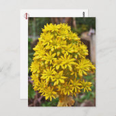 Gele ventilatorclusters briefkaart (Voorkant / Achterkant)