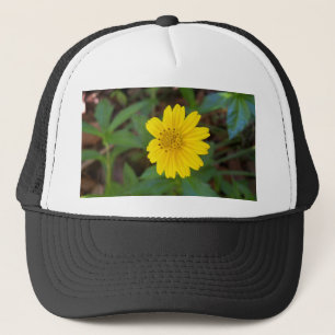 gele vleiervis trucker pet