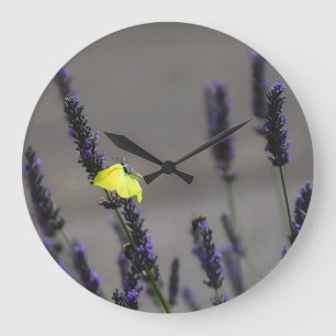 Gele vlinder op paarse lavendel macro foto grote klok