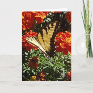 "gele vlinder" paasbloem Kaart