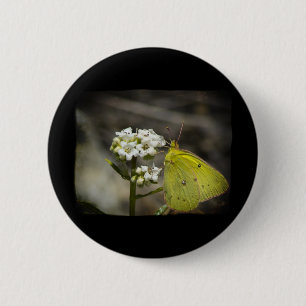 Gele vlinder ronde button 5,7 cm